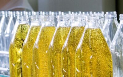 CQV for New Blister and Bottle Filling Lines