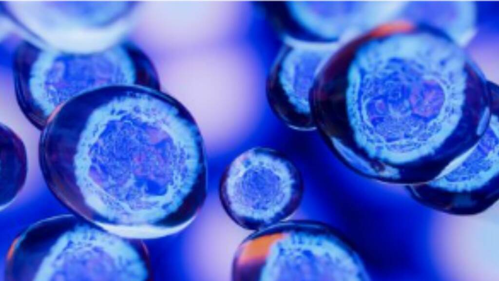 Website Graphics 1920 X 1080 20