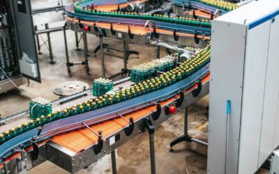 Empowering Dreams: Oxford Global Resources’ Expertise in Implementing Workday for a Leading Brewing Company