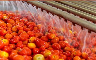 Rapid Resource Deployment and Operational Excellence During Peak Season