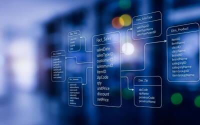 Large-Scale Data Foundation & Transformation Program
